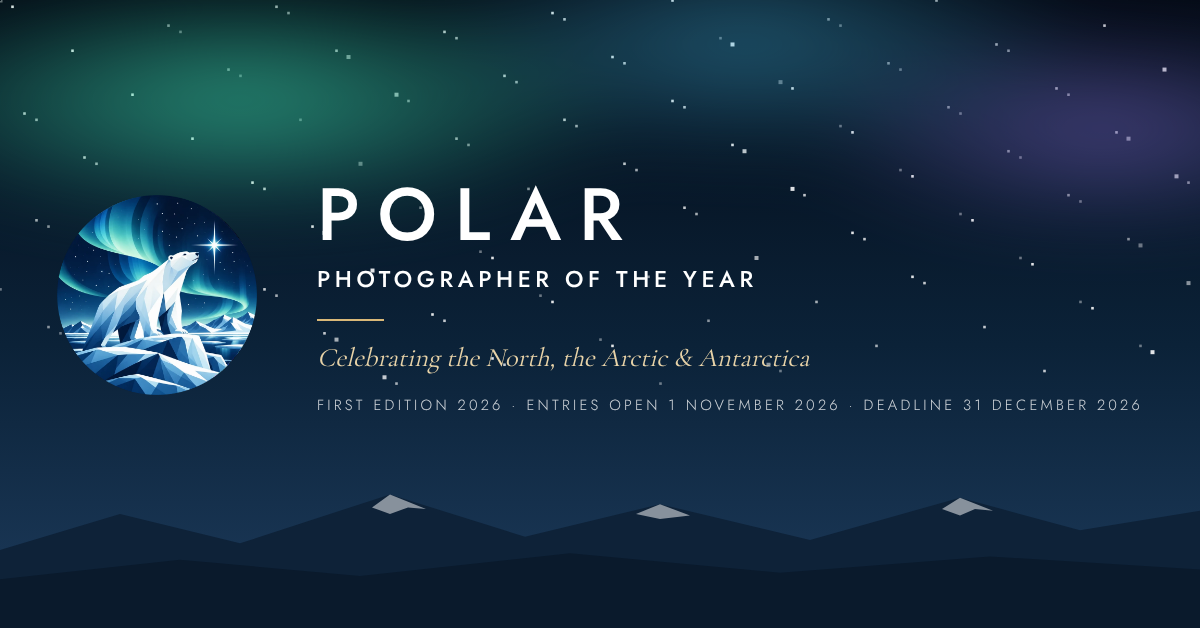 Web and social banner